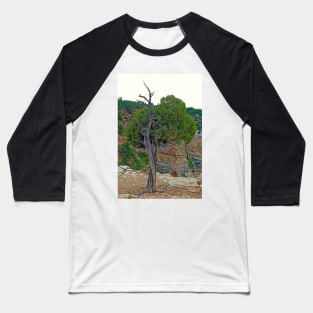 Grand Canyon Tree Study 4 Baseball T-Shirt
